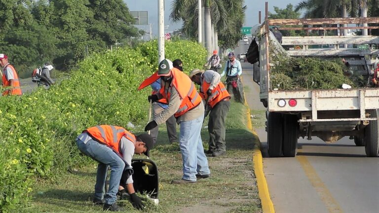 ”Programa de Empleo Temporal, doble acierto de Jaime Cuevas» | Correo ...